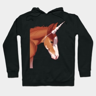 Unicorn Foal Hoodie